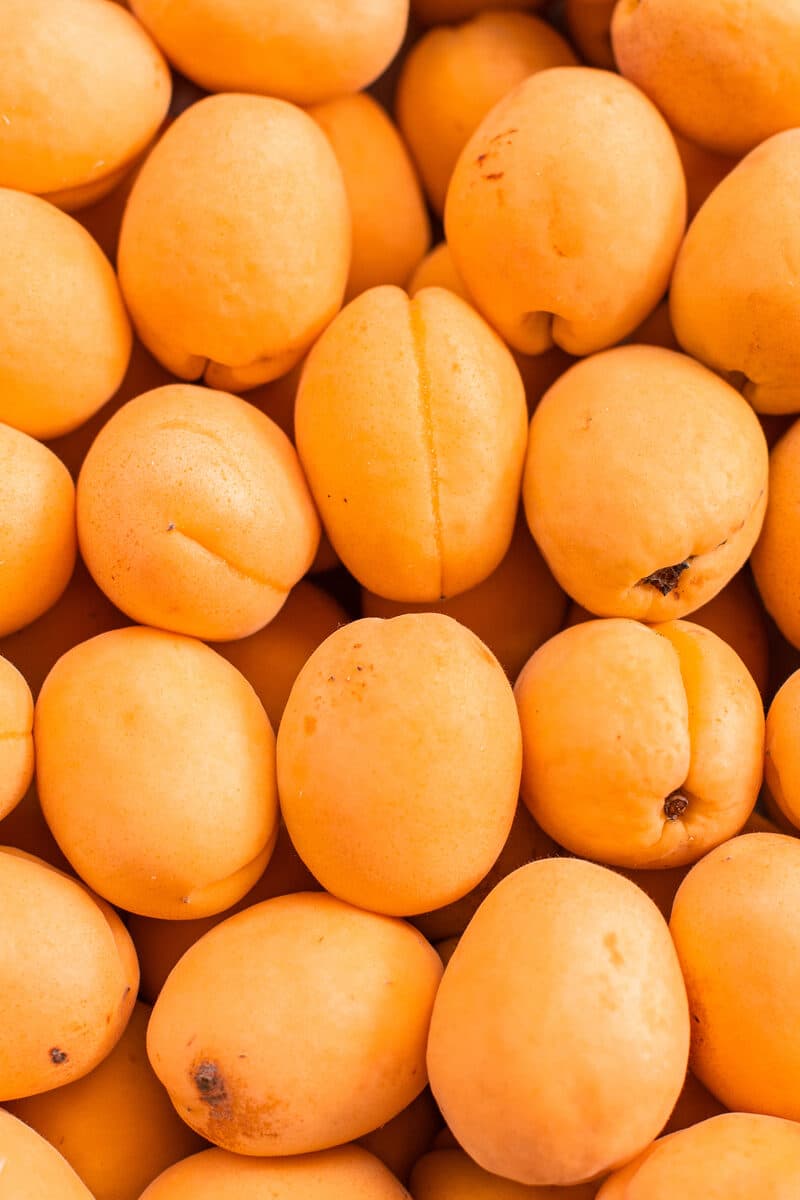 Apricot