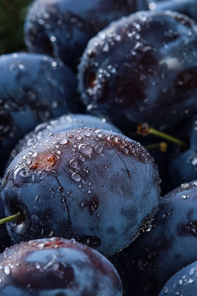 Damson Plum