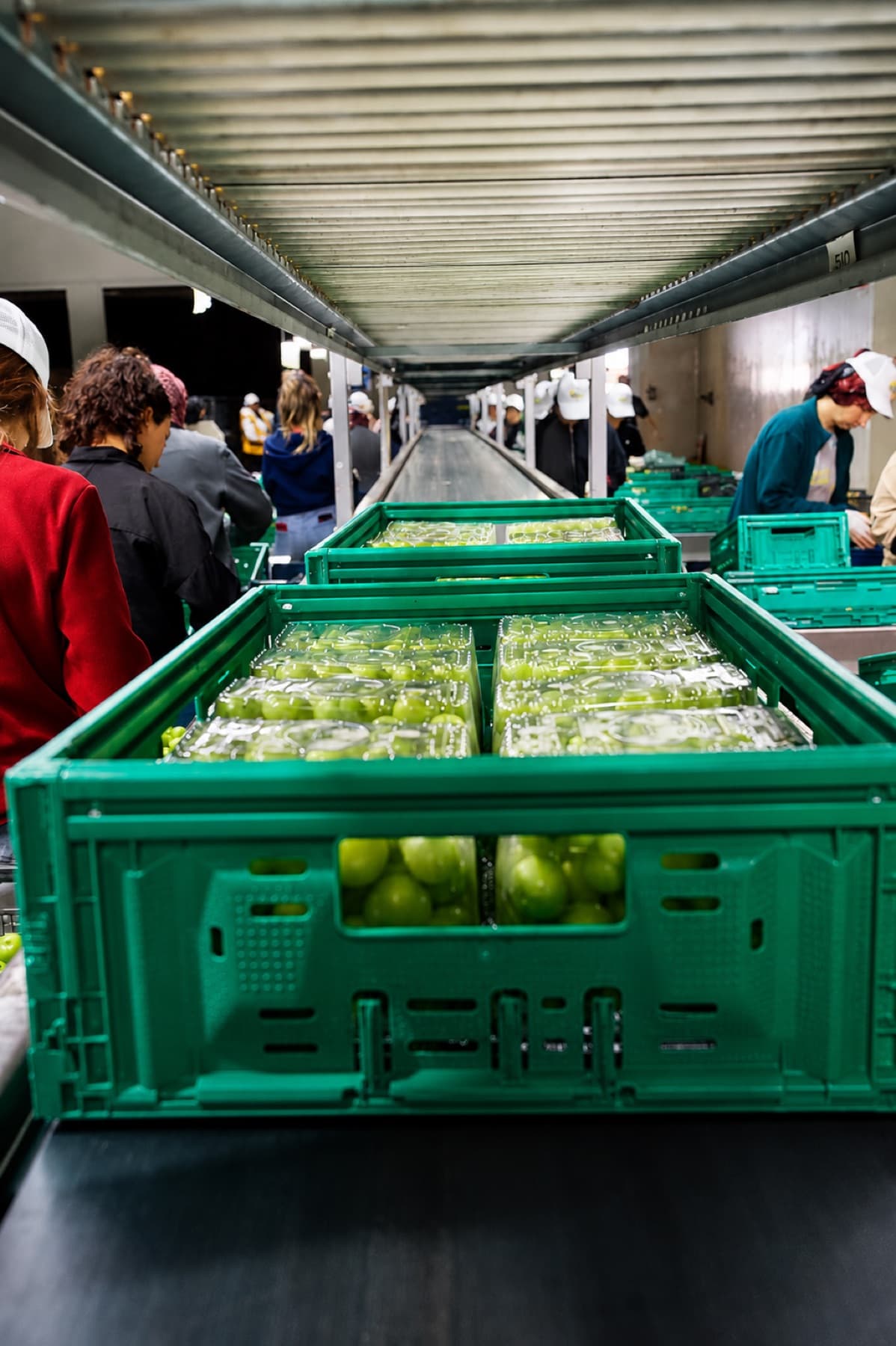 Cold storage