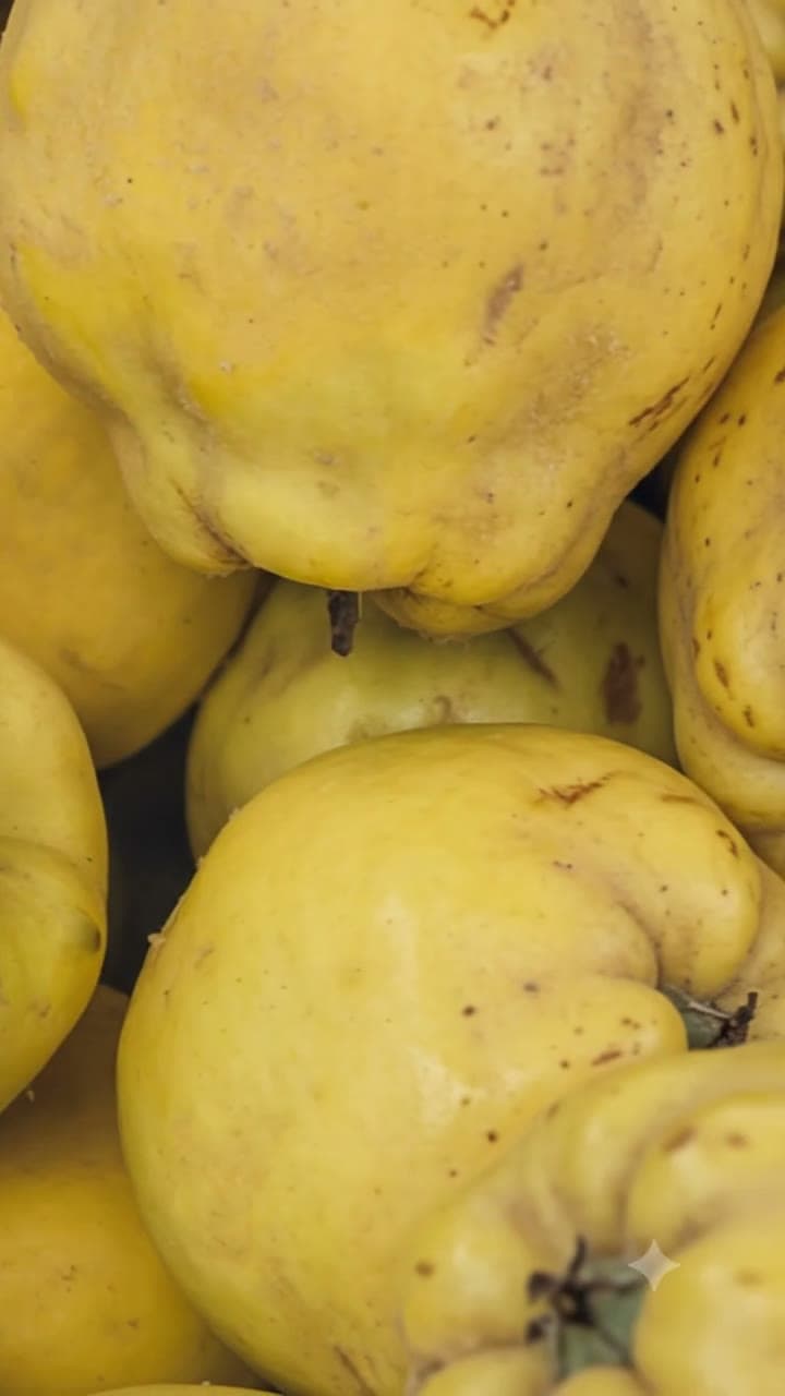 Айва